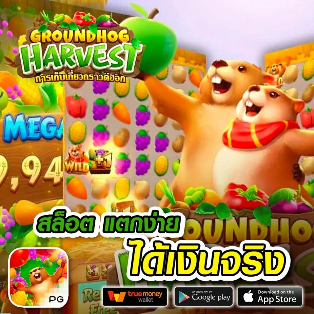 เดิมพันสดแบบเรียลไทม์กับ ผลบอลสดโกอิน เล่นง่ายจ่ายจริงแน่นอน