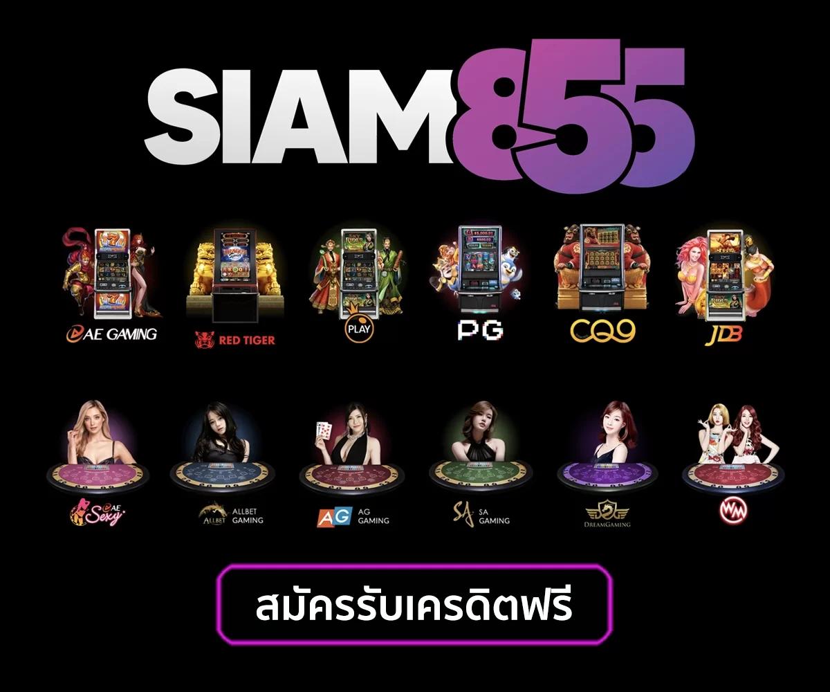 เว็บไทเกอร์ คาสิโนครบวงจร ระบบเสถียร มั่นคง ฝาก-ถอนรวดเร็ว