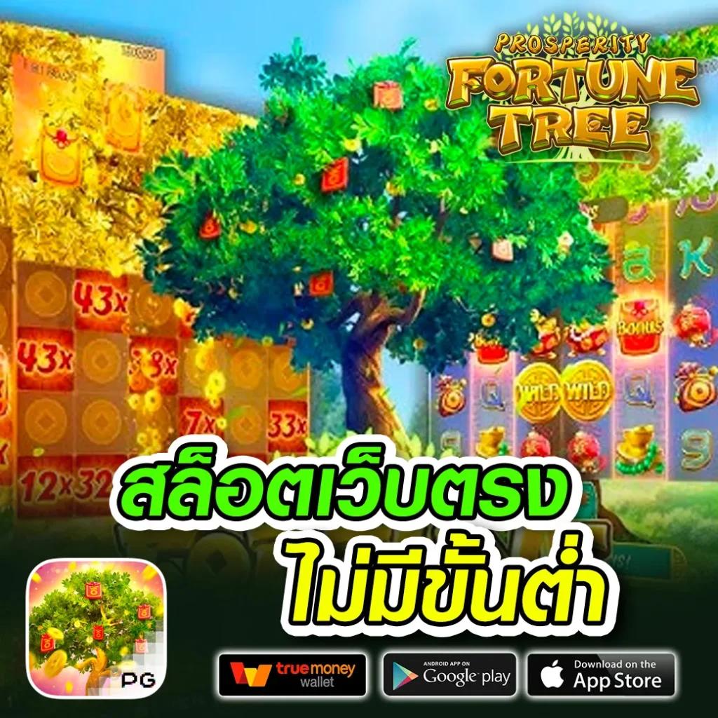 แคท88 ศูนย์รวมเกมคาสิโนออนไลน์ โบนัสสูง เครดิตฟรีล่าสุด
