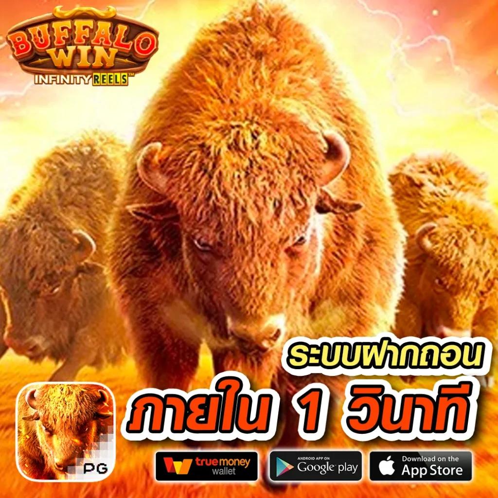 แทงบอลออนไลน์ตรงใจที่ ผลบอลสด goal co พร้อมโปรโมชั่นสุดพิเศษ