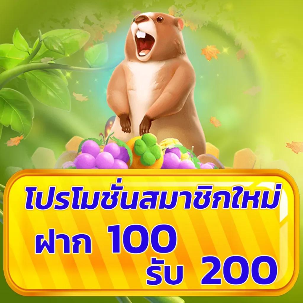 ไทเกอร์24 ศูนย์รวมคาสิโนออนไลน์ ครบเครื่อง เล่นง่าย จ่ายจริง